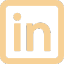 Linkedin Icon